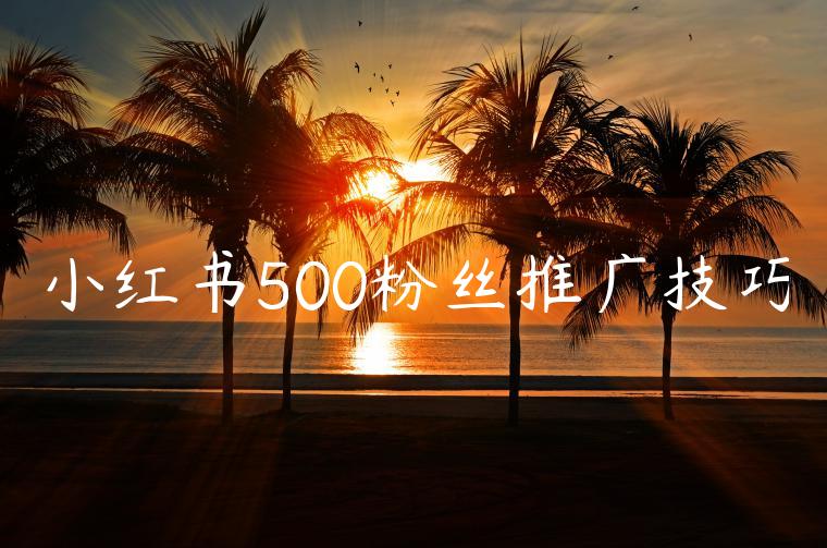 小红书500粉丝推广技巧