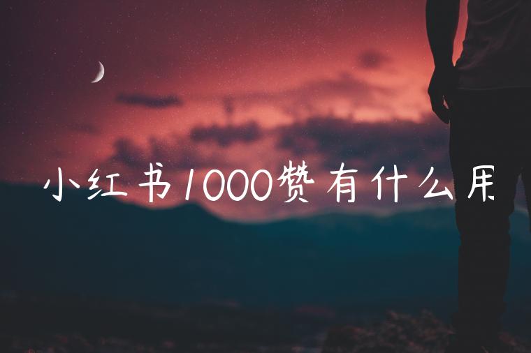 小红书1000赞有什么用