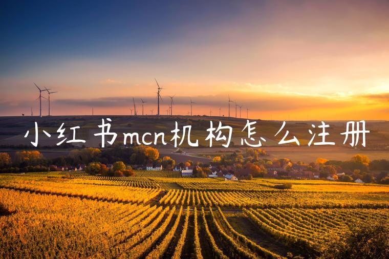 小红书mcn机构怎么注册