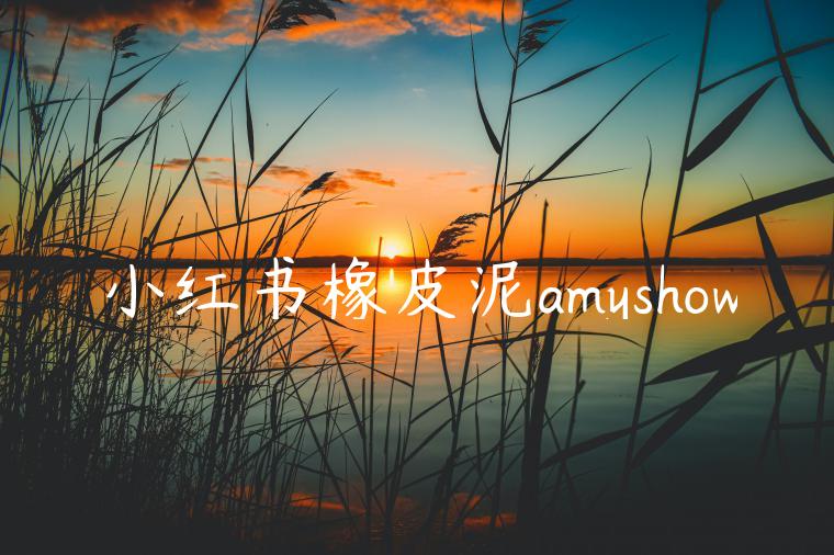 小红书橡皮泥amyshow