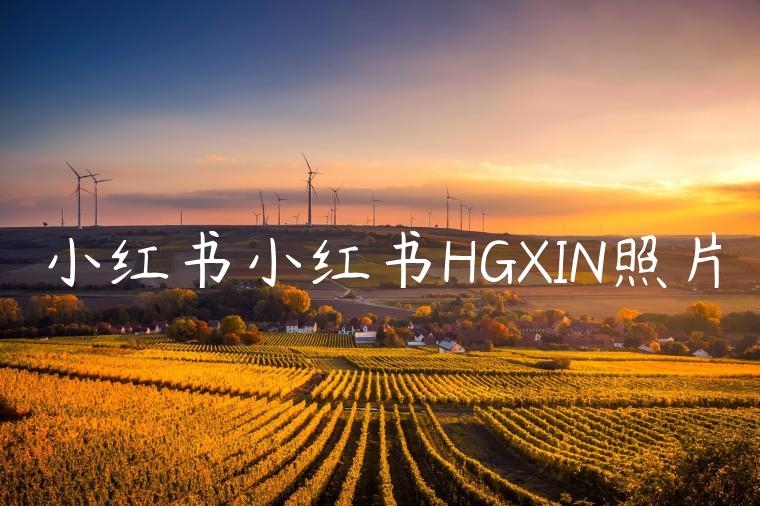 小红书小红书HGXIN照片