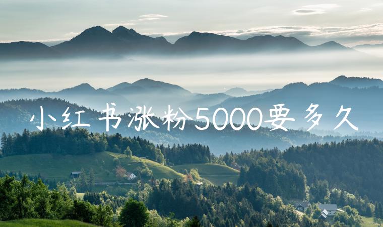 小红书涨粉5000要多久