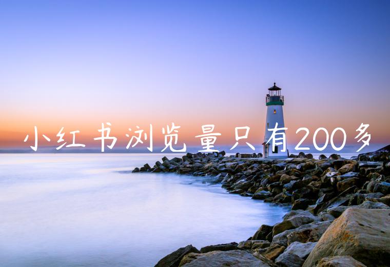 小红书浏览量只有200多