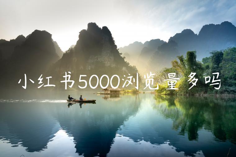 小红书5000浏览量多吗