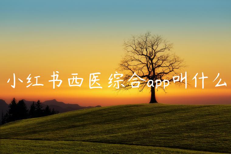 小红书西医综合app叫什么