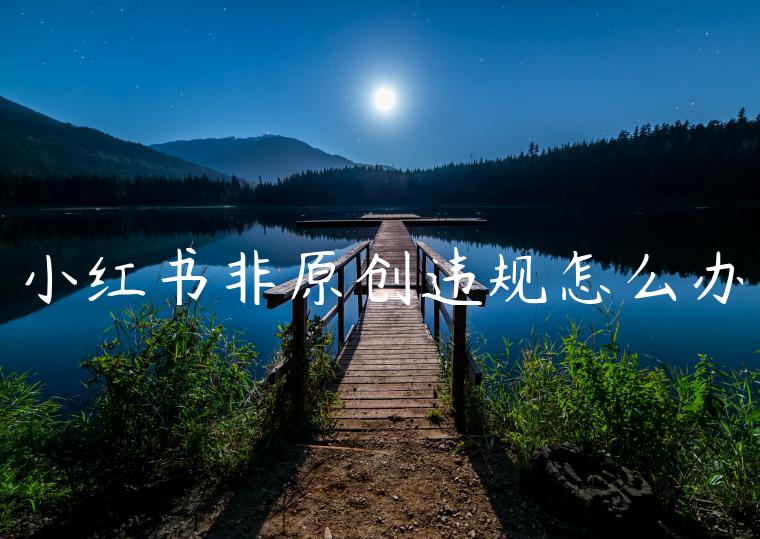 小红书非原创违规怎么办