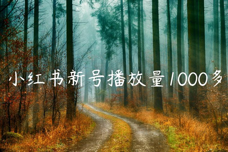 小红书新号播放量1000多