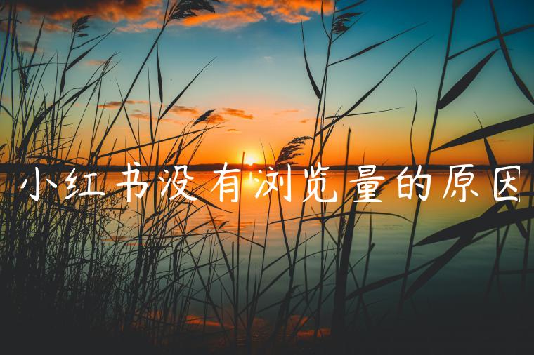 小红书没有浏览量的原因