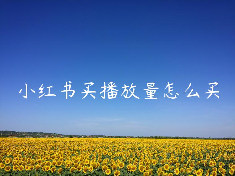 小红书买播放量怎么买