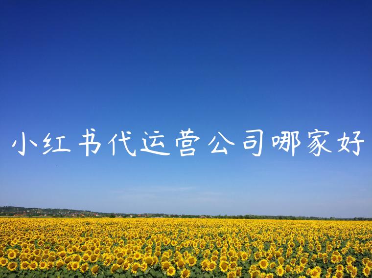 小红书代运营公司哪家好