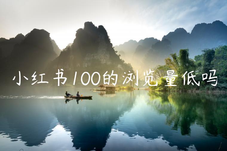 小红书100的浏览量低吗