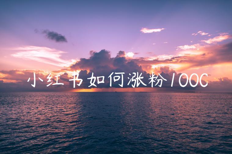 小红书如何涨粉1000