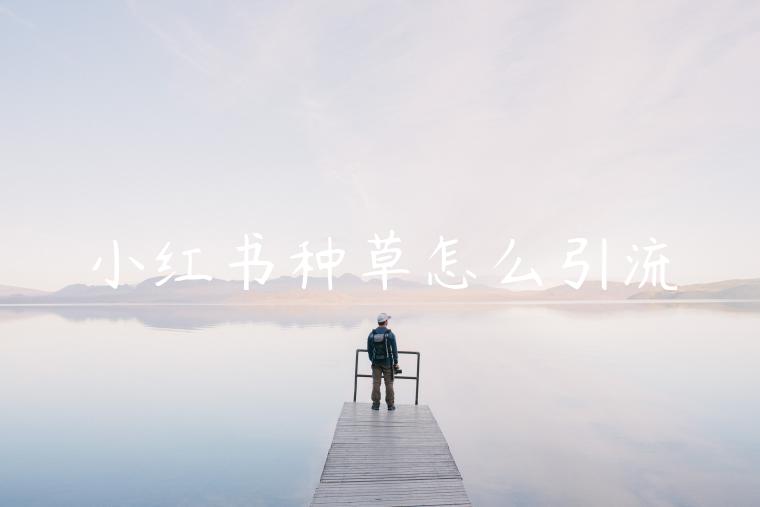 小红书种草怎么引流