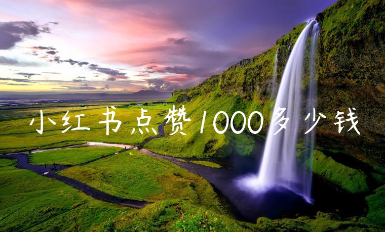 小红书点赞1000多少钱