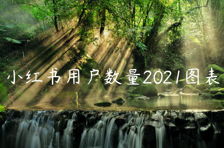 小红书用户数量2021图表