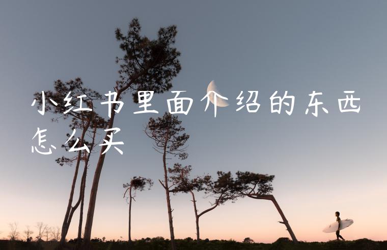 小红书里面介绍的东西怎么买