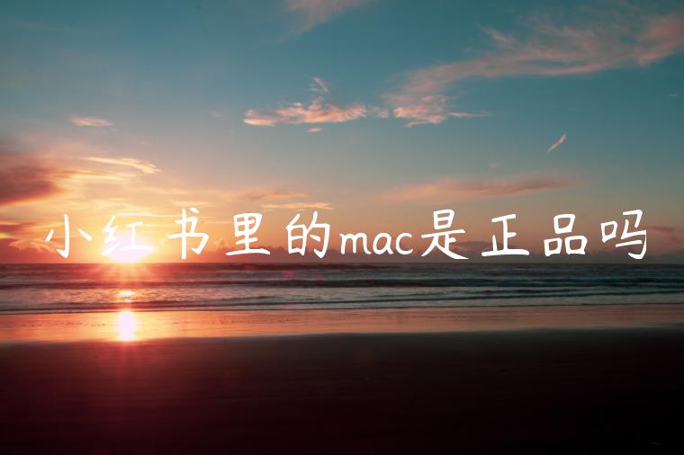 小红书里的mac是正品吗