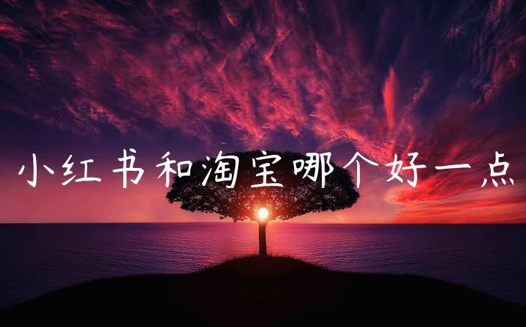 小红书和淘宝哪个好一点