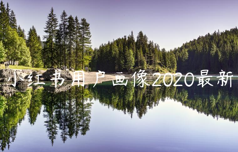 小红书用户画像2020最新