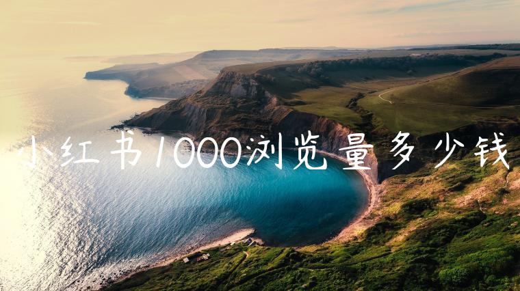 小红书1000浏览量多少钱