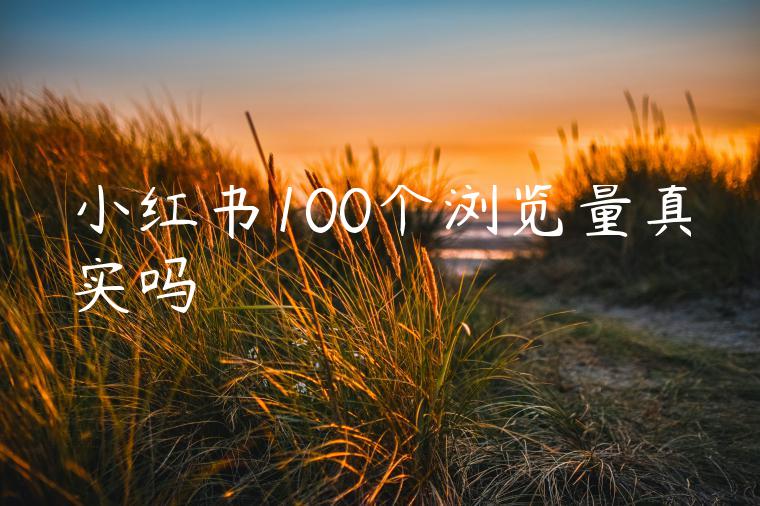 小红书100个浏览量真实吗