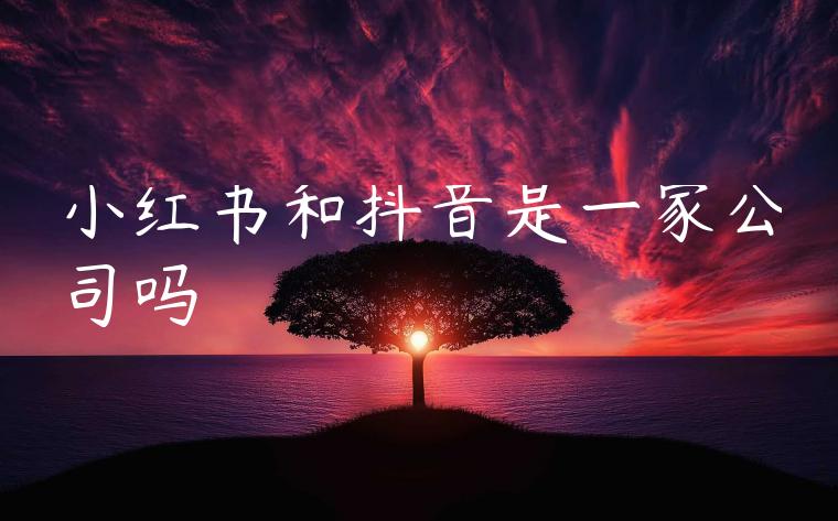 小红书和抖音是一家公司吗