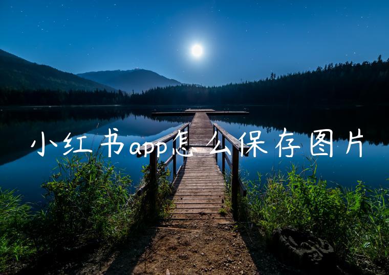 小红书app怎么保存图片