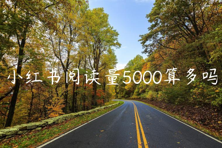 小红书阅读量5000算多吗