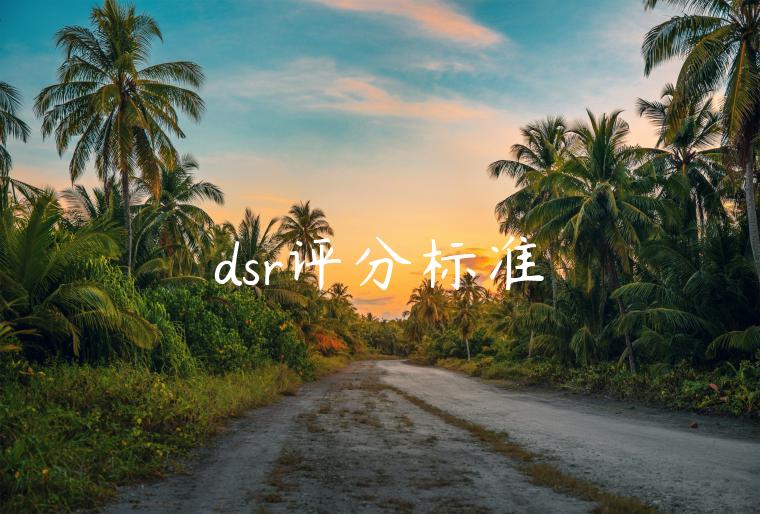 dsr评分标准