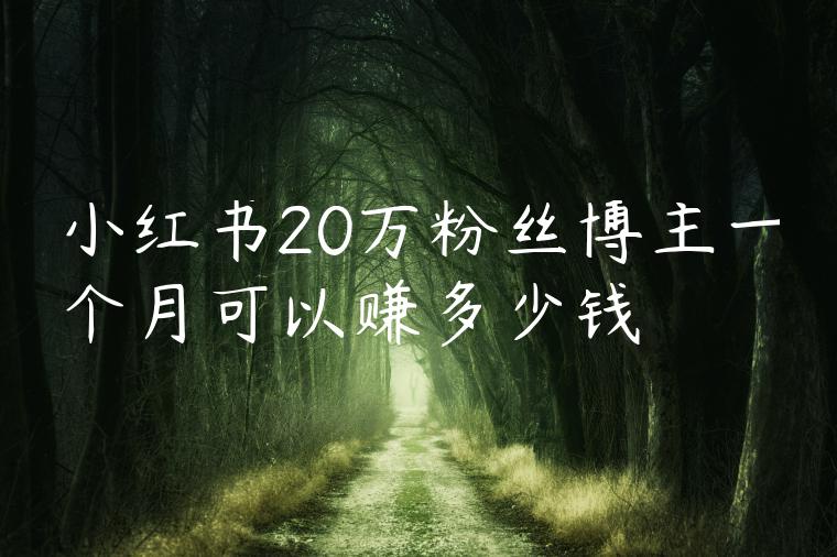 小红书20万粉丝博主一个月可以赚多少钱