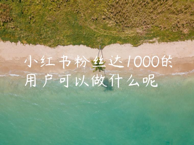 小红书粉丝达1000的用户可以做什么呢