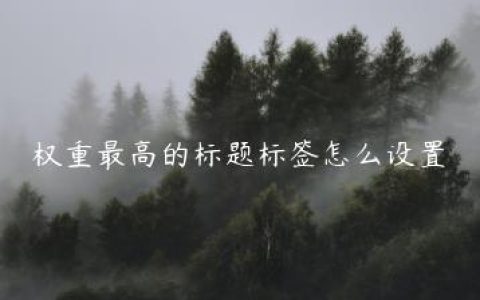 权重最高的标题标签怎么设置