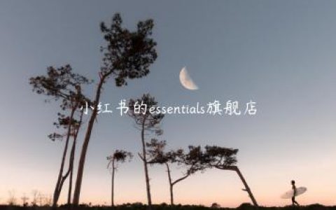 小红书的essentials旗舰店