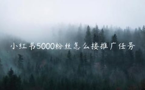 小红书5000粉丝怎么接推广任务