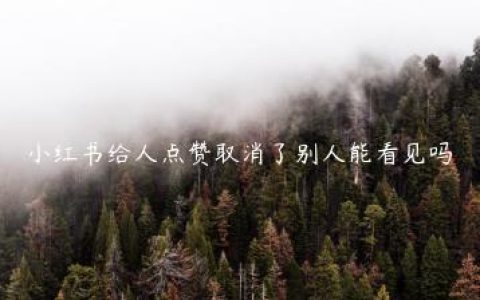 小红书给人点赞取消了别人能看见吗