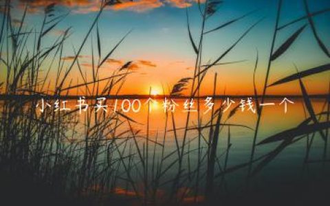 小红书买100个粉丝多少钱一个