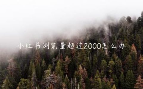 小红书浏览量超过2000怎么办