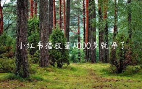 小红书播放量1000多就停了