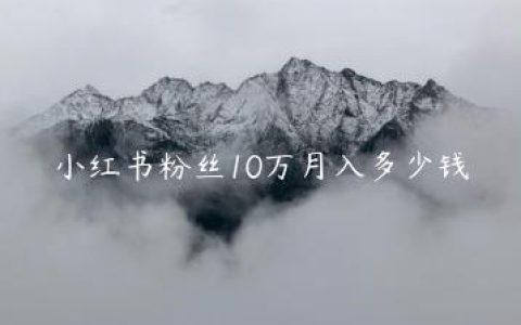 小红书粉丝10万月入多少钱