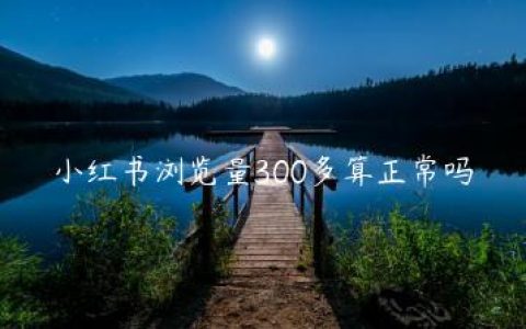 小红书浏览量300多算正常吗