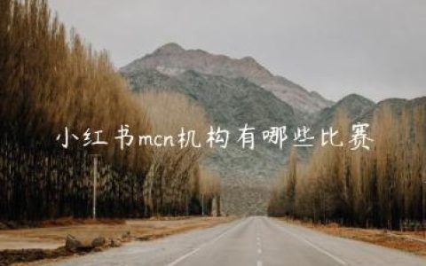 小红书mcn机构有哪些比赛