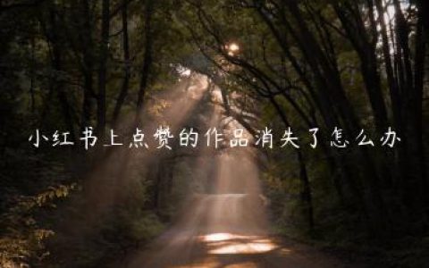 小红书上点赞的作品消失了怎么办