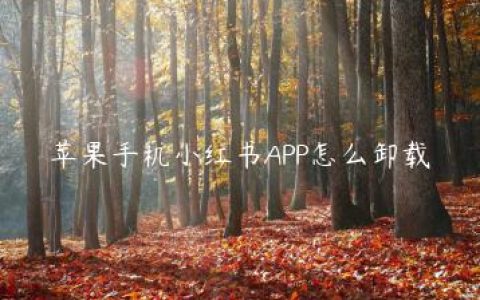 苹果手机小红书APP怎么卸载