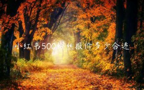 小红书500粉丝报价多少合适