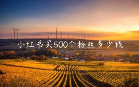 小红书买500个粉丝多少钱