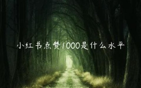 小红书点赞1000是什么水平