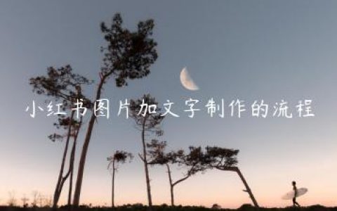 小红书图片加文字制作的流程