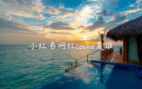 小红书网红cookie是谁