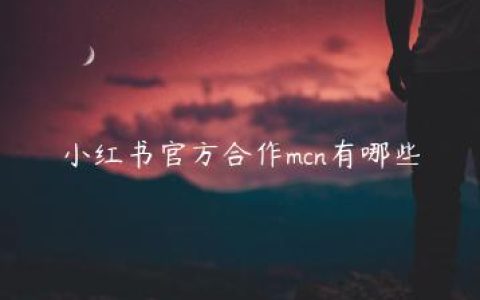 小红书官方合作mcn有哪些