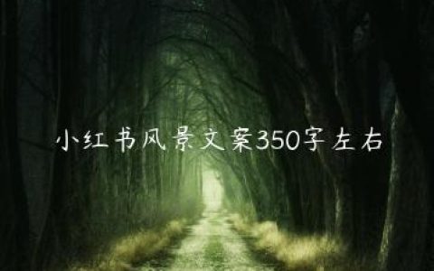 小红书风景文案350字左右